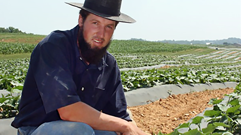 Farmer Harlan Hess, of Waynsboro, PA, kneels down amongst his crops and poses for a photo.