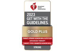 2023 American Heart Association's Get With The Guidelines award logo