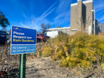 Wetlands restoration at MedStar Harbor Hospital