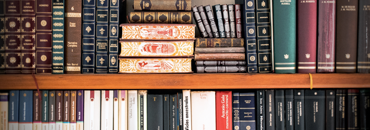 Books on a library bookshelf.