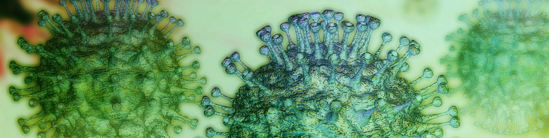 3-dimensional rendering of coronavirus cells.