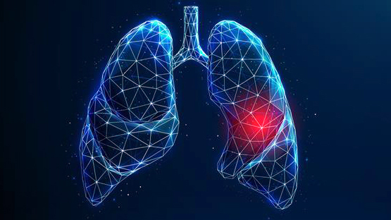 Illustration of human lungs