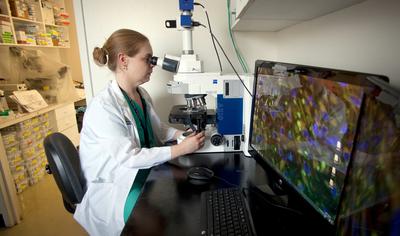 Dr Lauren Moffatt, PHD looks into a microscope in the Burn and Surgical Research Laboratory