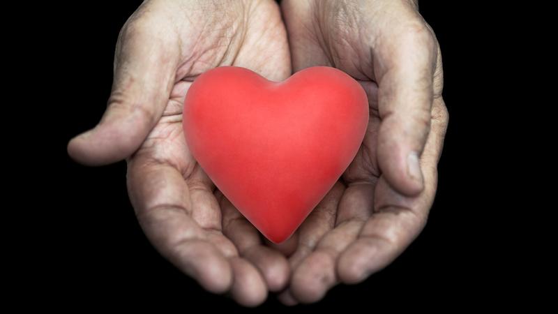 Close up photo of a man's hands holding a foam heart.