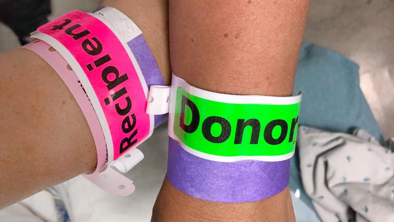 Close up photo of 2 people's wrists each with a hospital bracelet that says 