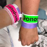 Close up photo of 2 people's wrists each with a hospital bracelet that says "Donor" or "Recipient".