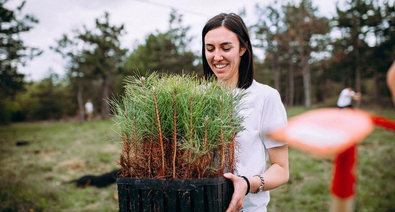 A woman holds a tray of pine tree seedlings outdoors.