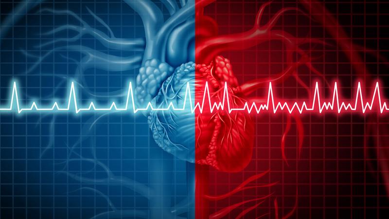 Red and blue stylized graphic of the heart.