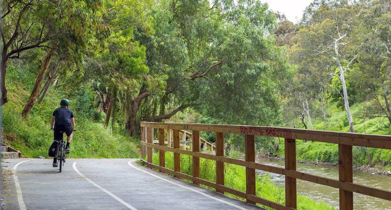 A person rides a bike along a tree-lined path.