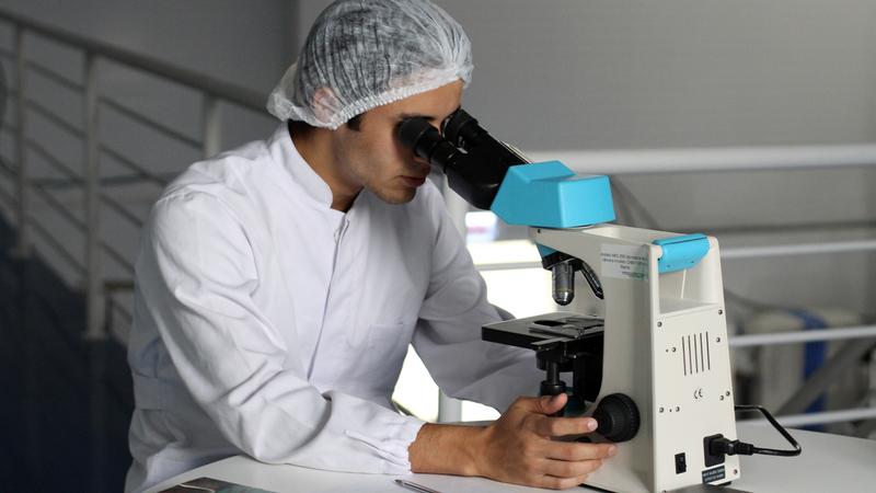 A research scientist looks into a microscope.