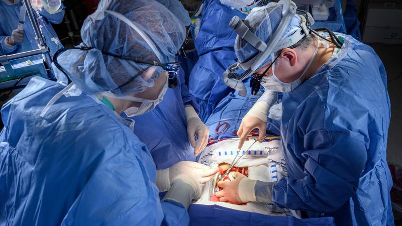 Doctors at MedStar Health implant their 300th LVAD device.