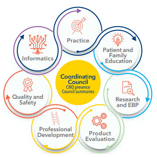 Process flow chart for collective governance at MedStar St. Mary's Hospital.