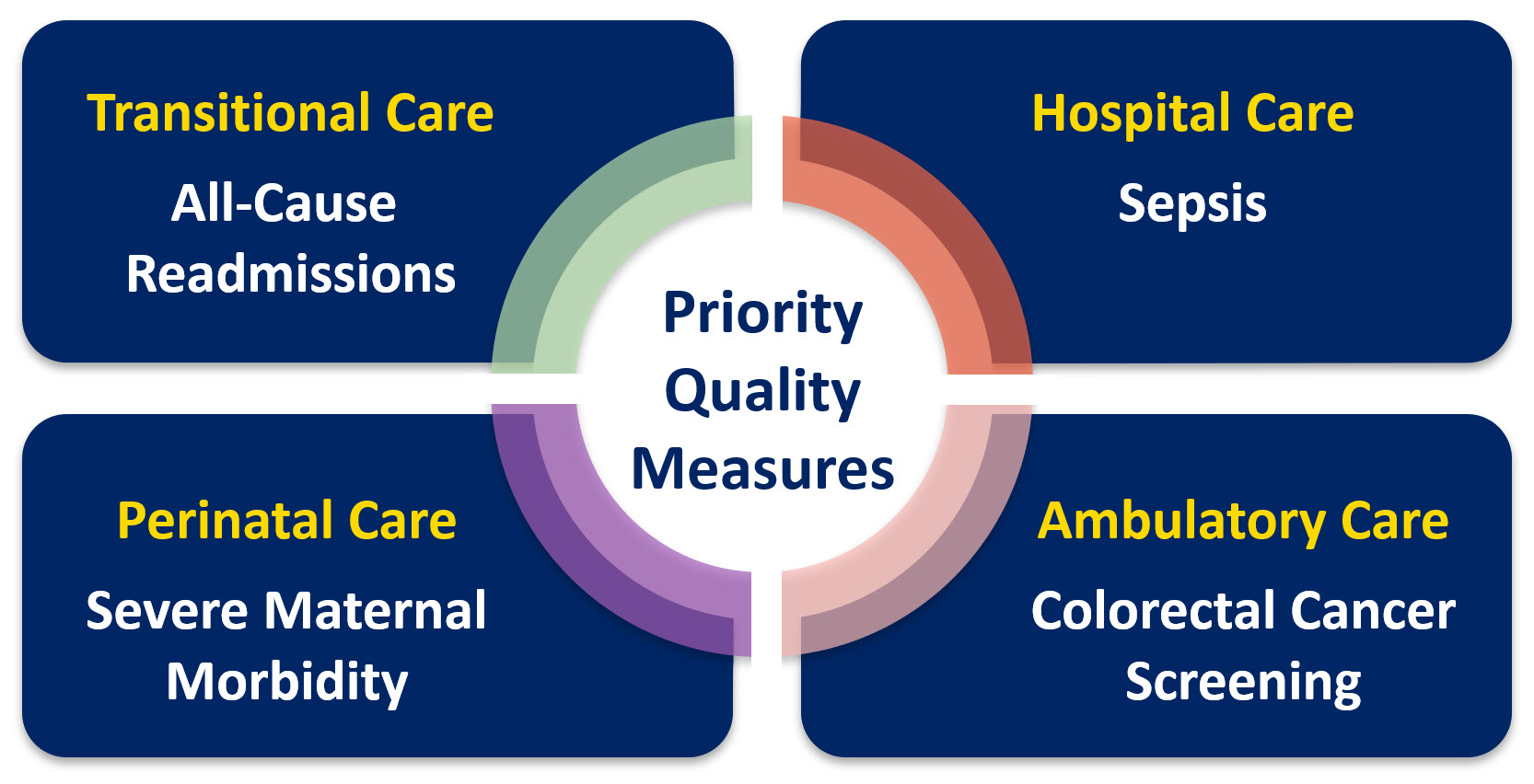 Healthcare disparity infographic