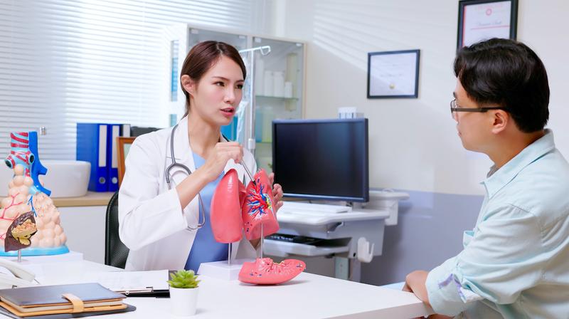 A doctor shows a patient an anatomical model of the lungs during an office visit.