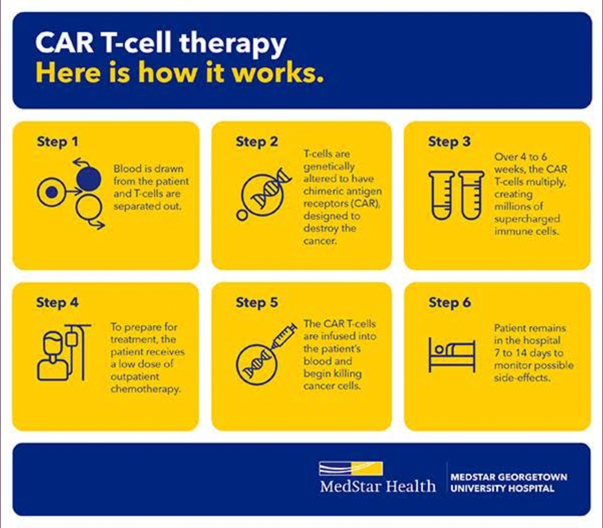 CAR T-cell infographic