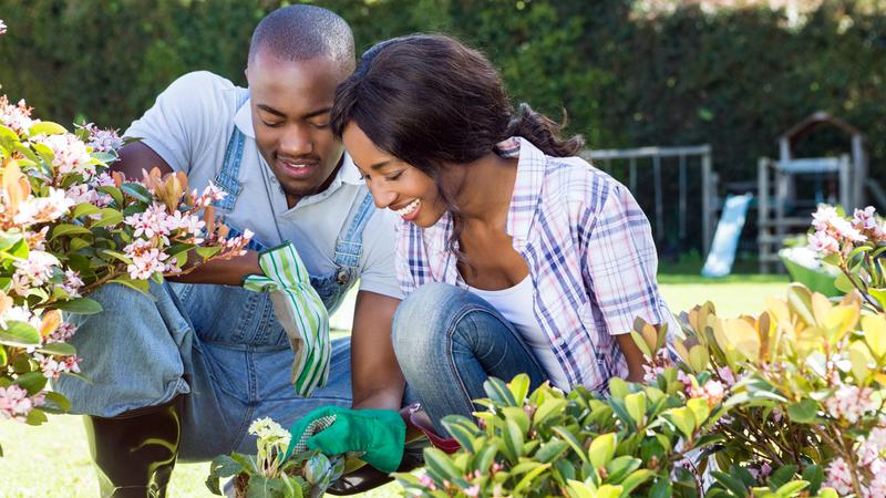 Young couple gardening together in their garden
