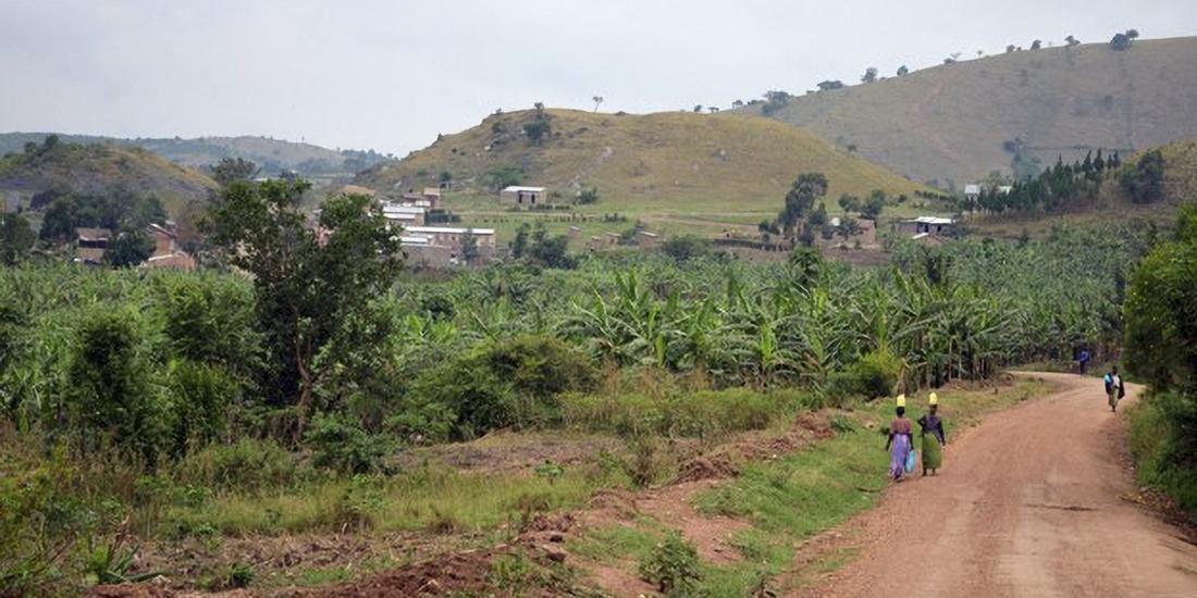 A rural scene in Africa.