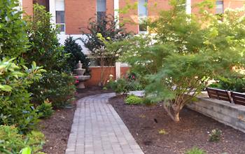 Trees line the brick path in MedStar Franklin Square Medical Center's meditation garden