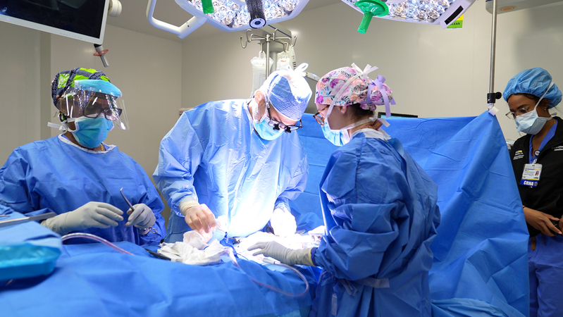 Dr. Jose Figueiro and a team perform transplant surgery at MedStar Health.