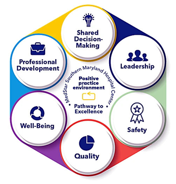 Infographic illustrating the MedStar Southern Maryland Hospital Center's pathway to excellence positive practice environment