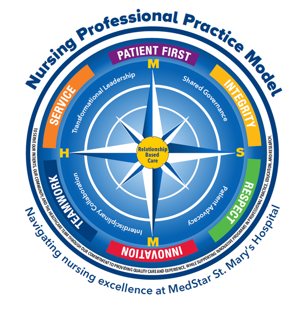 Nursing Professional Practice Model Infographic