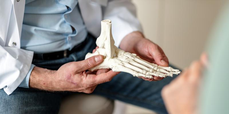 一个全科医生向病人展示骨骼上的脚骨。