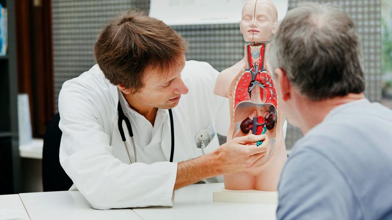 A young male doctor explains the urinary system to a patient using an anatomic model in a clinical setting.