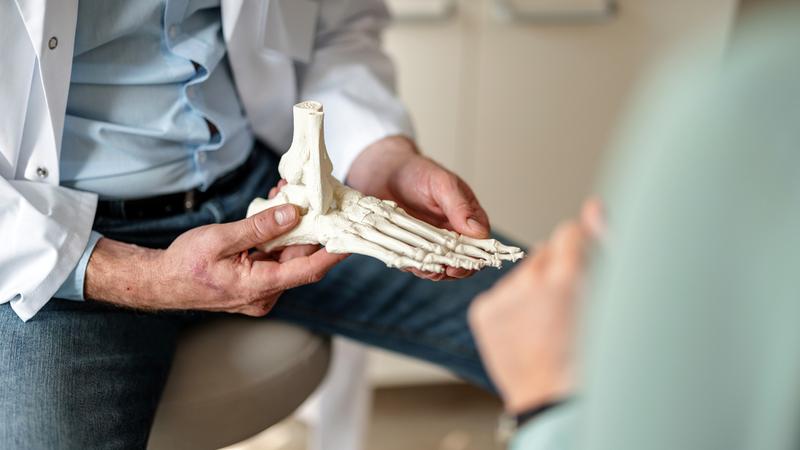 Close up of a general practitioner showing a patient the bones of a foot on a skeleton.