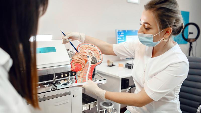 A doctor, wearing a mask, explains to a patient using an anatomical model of the head.