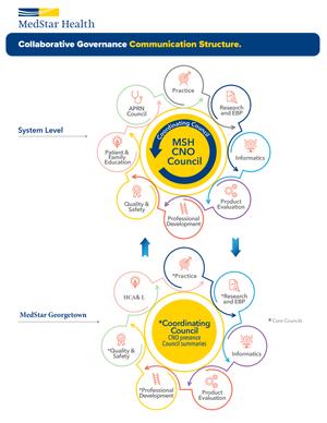 Collaborative Governance Communication Structure Infographic