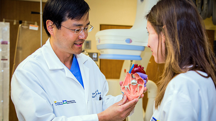 John Wang talks to a colleage while holding an anatomical model of a heart.