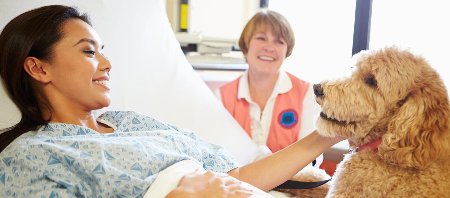 A volunteer brings a therapy dog to visit a patient in the hopsital